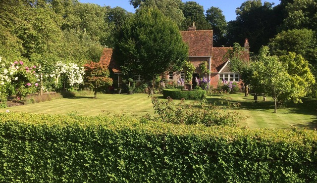 Charming country cottage in a very quiet village in Dorset. 5 double bedrooms.