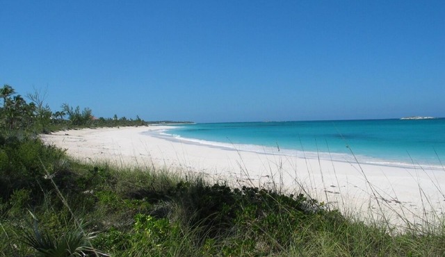 Charming, secluded, beachfront cottage