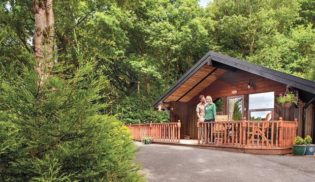 Charming, spacious and comfortable open plan lodge with log burner.