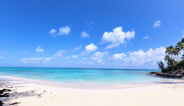 Conch'd Out Beach Cottage: Semi-private beach. Ocean views. Adults only.