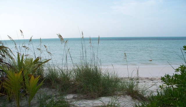 Conched Out Island Cottage, golf cart and ocean kayak included