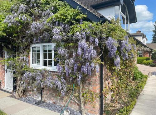 Curlew Cottage