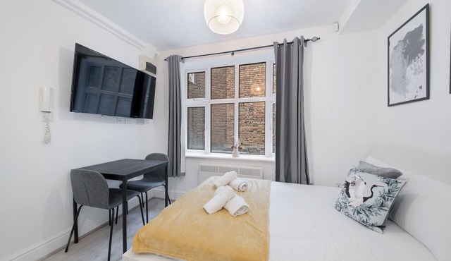 Cute Studio Flat in Central London