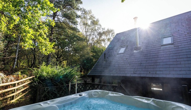 Dimmingsdale; woodland lodge for 8 w/hot tub, log burner, BBQ, nr Alton Towers