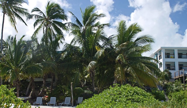 Driftwood Second Floor Condo at Hoopers Bay With Stunning Views