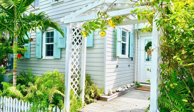 Dunwanderin-Historic Cottage in the Heart of Hope Town w/dock