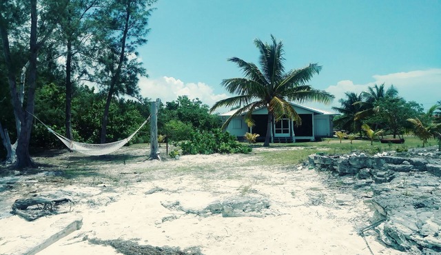 Eco Friendly home