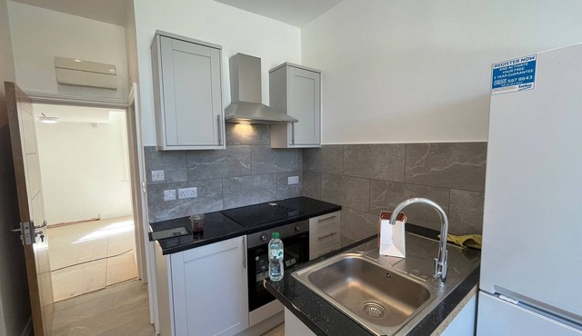 Elegant One Bed One Bath Apartment in Olympia