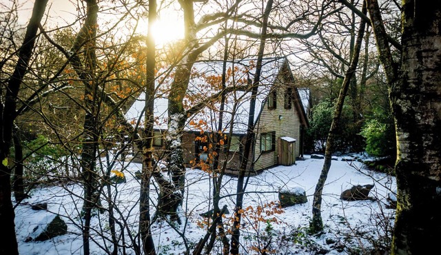 Ellastone; woodland lodge for 8 with hot tub, log burner, BBQ, near Alton Towers