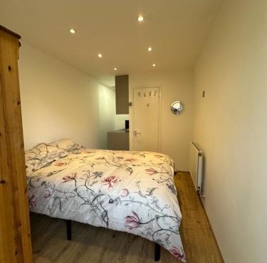 Ensuite double Room near ExCeL London