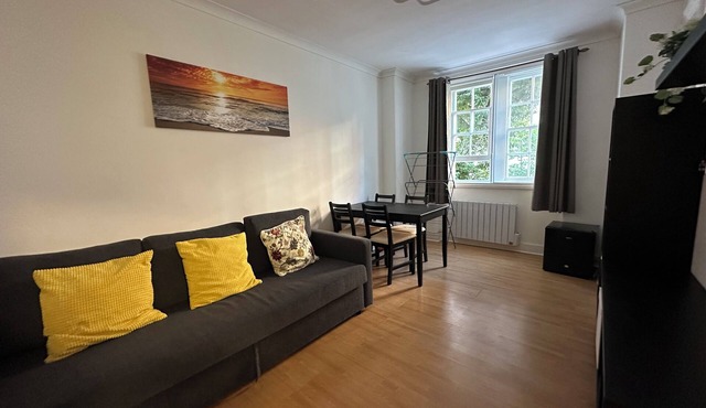 Entire cozy Flat in central London