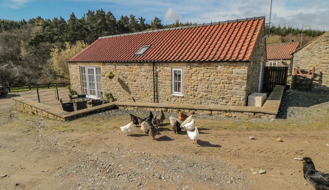 ERICA'S 'EAVEN, pet friendly, with a garden in Kirkbymoorside