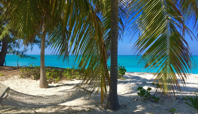 Escape to Paradise On Tar Bay, 2 person Kayak and 2 Paddle Boards included!