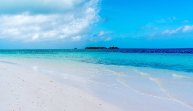 Escape to 'This Is It' Your Ultimate Beachfront Retreat