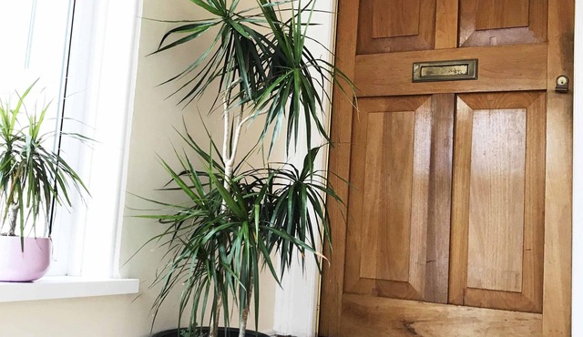 Esk Vale Guest House