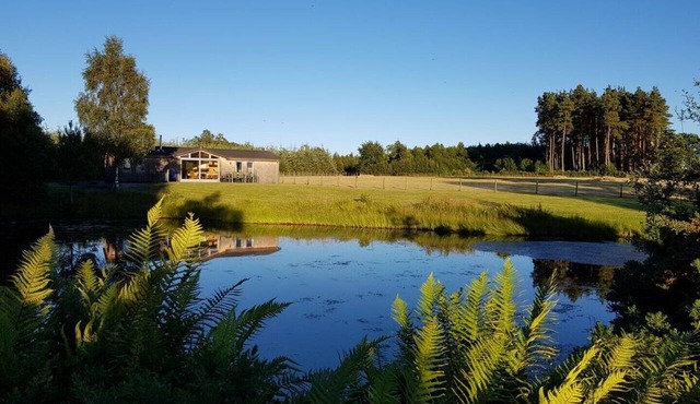 Exceptional lodge in private woodland with luxury steam room