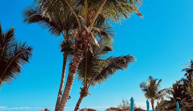 Exuma Palms Resort