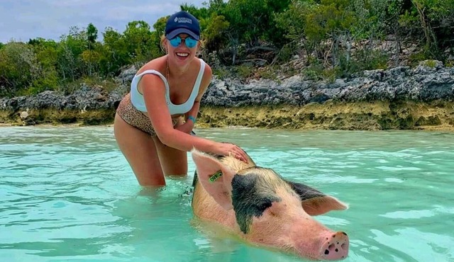 Exuma Point Villas -Swimming Pigs Resort- Green Lignam Vitae