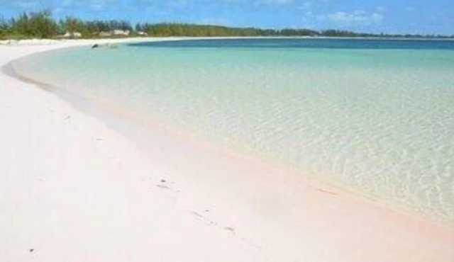 Family Friendly Beachfront Pink Sand Beaches Sleeps up to 15