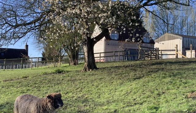 Farm stay, dark skies, stars, stunning countryside and miles of walks.