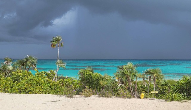 Feelin Nauti Beach Cottage ~ Your Bahamian Sanctuary by the Sea