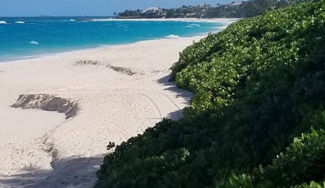 Finally Paradise Island at Down to Earth Pricing!