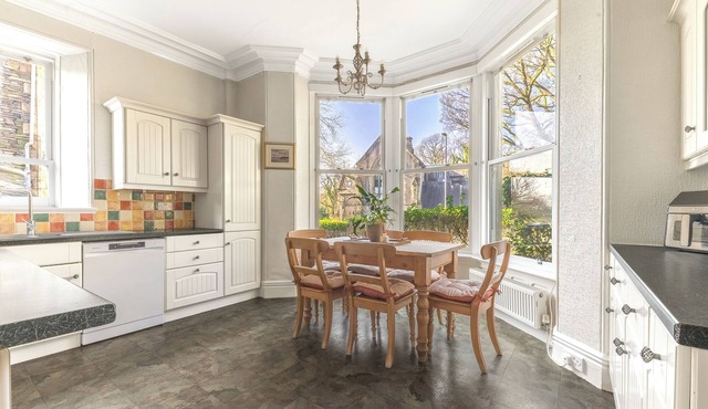 Fir Trees