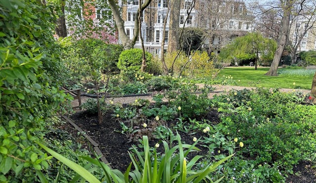 Garden cottage in the middle of Nottinghill. Walk to great food, tube & shops