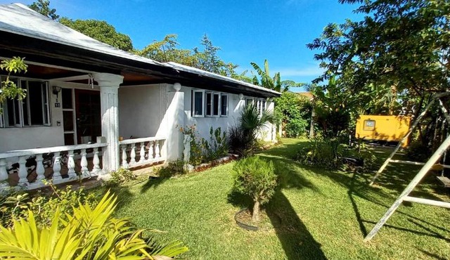 Garden In Paradise