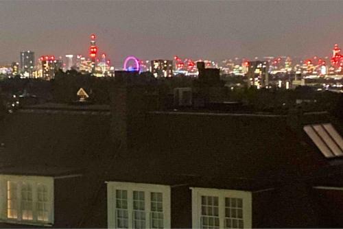 Hampstead Penthouse with world-class London views