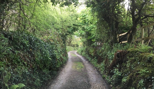 Higher Trenear Farm