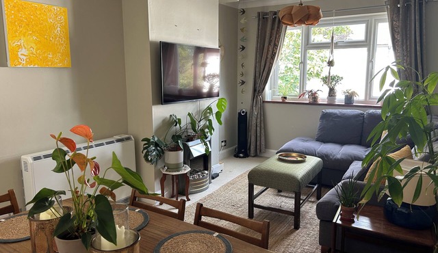 Homely flat in Surrey, Sleeps 3, family friendly