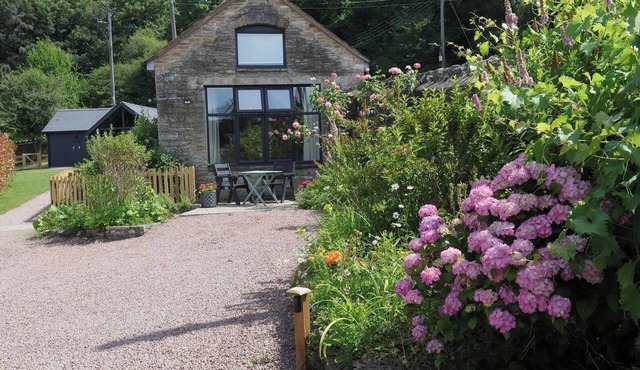 HORSE GIN, pet friendly, country holiday cottage in Parkend