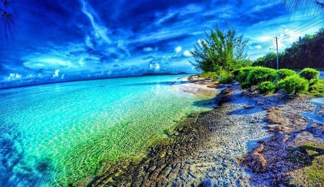 House Of Love - The Perfect Vacation