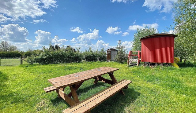 Ivy Shepherds Hut - UK38826