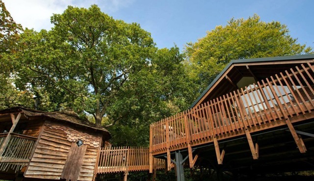 Keldy Classic Golden Oak Treehouse, Pickering