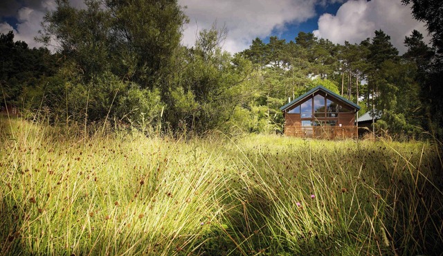 Keldy Classic Golden Oak Secluded View