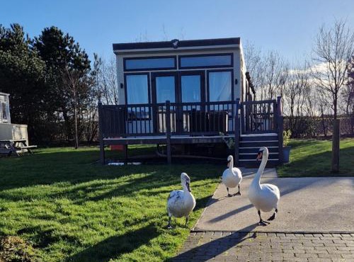 Lake District Willerby Vogue Lodge, Lake View on Haven Lakeland Gold Grade