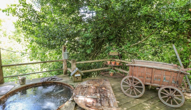 LILY PAD, romantic, character holiday cottage in Okehampton