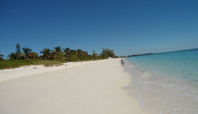 Lovely 2 bedroom condo with ocean view , best location