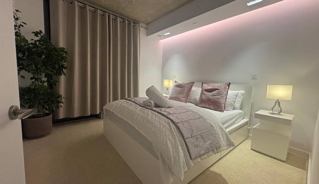 Luxurious one bedroom apartment in London with WiFi and free parking