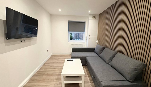 Luxury 1-bedroom apartment