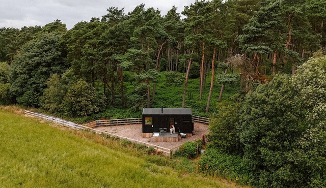 Luxury Eco-Friendly Off-Grid Forest Cabin With Outdoor Bath