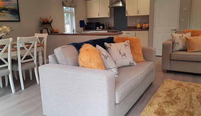 Luxury Lodge with Woodland view with hot tub at Hollicarrs - Stag Lodge