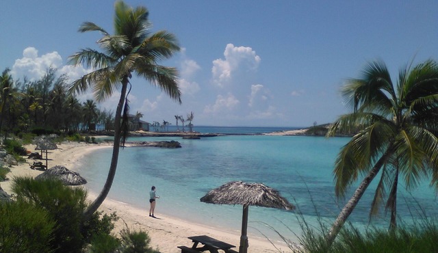 Mermaids with great views of the Atlantic Ocean