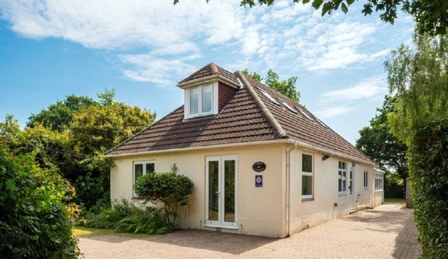New Forest cottage, sleeps up to 10. Looks directly on to the Forest