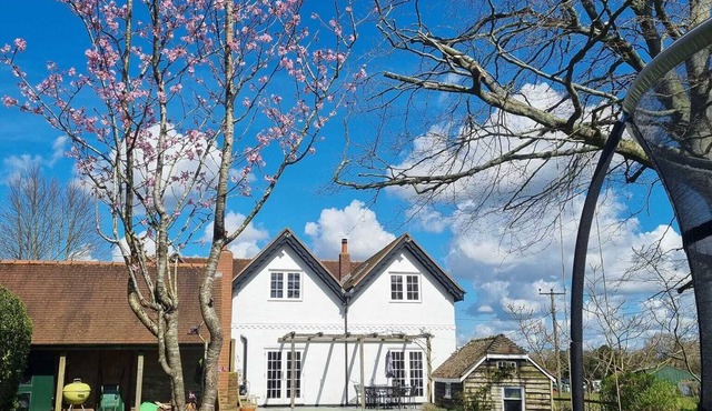 New Forest Cottage nestled alongside Limewood, Lyndhurst