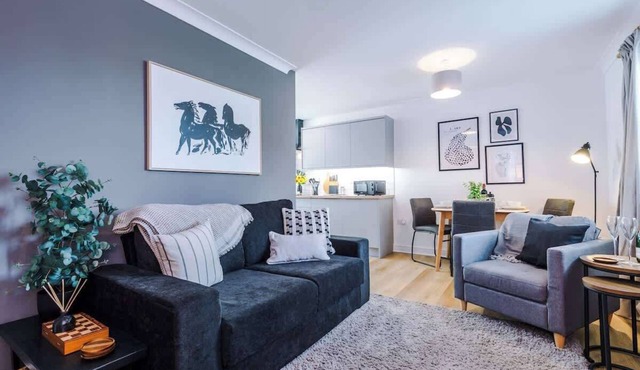 New! Stunning Flat, Perfect for Business, sleeps 3