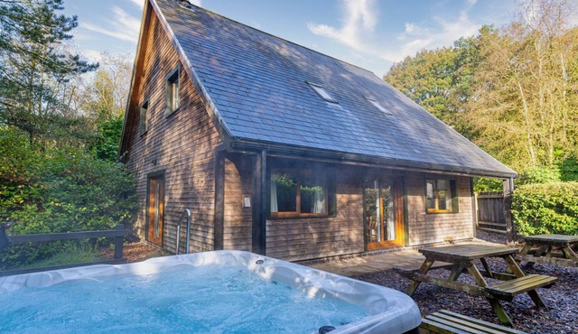 Norbury; woodland lodge for 12 with hot tub, log burner, BBQ, near Alton Towers.