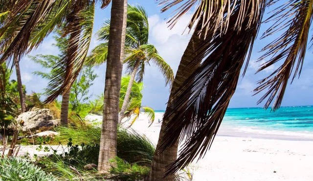 Ocean View Coral - Private Beach Resort